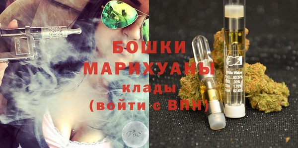 PSILOCYBIN Лабытнанги