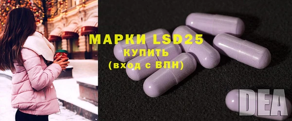 PSILOCYBIN Лабытнанги