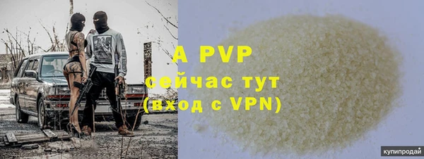 PSILOCYBIN Лабытнанги