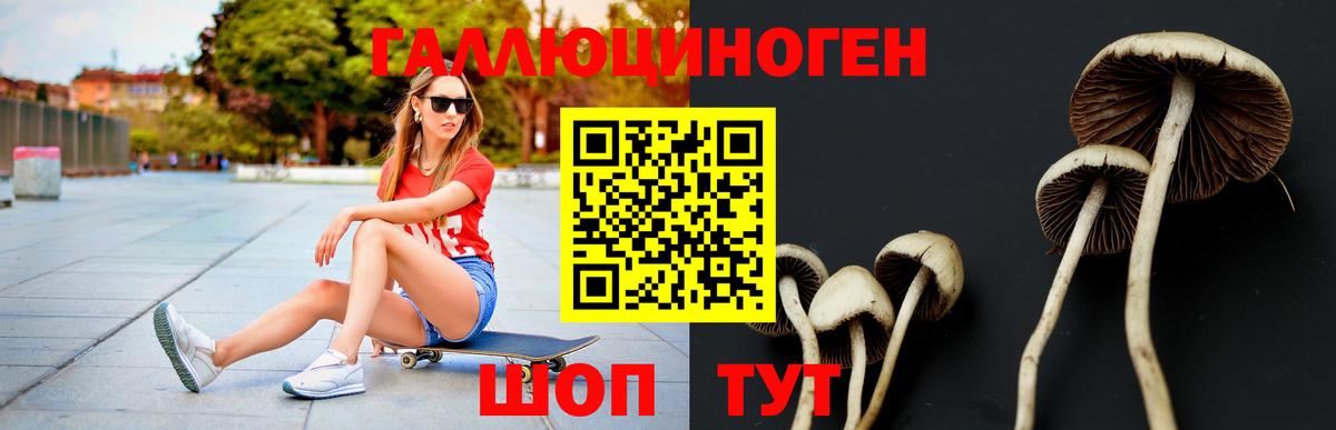 Псилоцибиновые грибы ЛСД  Благовещенск 